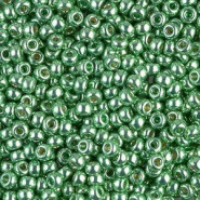 Miyuki seed beads 8/0 - Duracoat galvanized dark mint green 8-4214